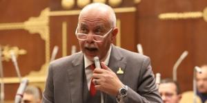 حازم الجندي: منتدى مصر 2026 يعزز الحوار المباشر مع المواطنين