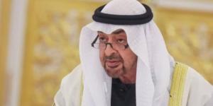 رئيسا الإمارات وفرنسا يبحثان علاقات التعاون والتطورات الإقليمية :اليوم السابع