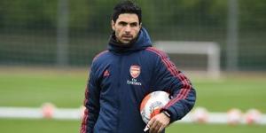 تقارير: أرتيتا كان قريبا من تدريب نيوكاسل قبل قيادة أرسنال