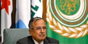 أمين عام الجامعة العربية يقوم بجولة ميدانية فى بلدة زوطر الغربية بجنوب لبنان :اليوم السابع