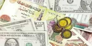 ارتفاع أسعار العملات الأجنبية اليوم الأربعاء 21 أكتوبر 2026.. آخر تحديث بالبنوك