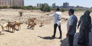 3 ضوابط وضعها القانون لحيازة الحيوانات.. تعرف عليها :اليوم السابع