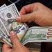 سعر الدولار مقابل الجنيه داخل البنك المركزى المصرى :اليوم السابع