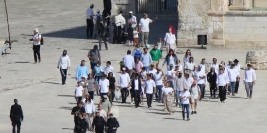 شرطة الاحتلال الإسرائيلى تعتقل 8 أشخاص على خلفية أعمال العنف بالضفة الغربية :اليوم السابع
