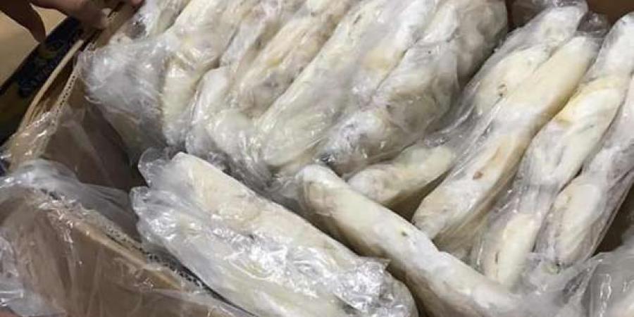ضبط 41 طن أسماك مجمدة فاسدة بالغربية