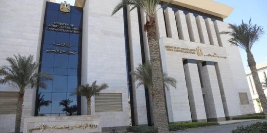 كنا فين وبقينا فين.. الزراعة: زيادة المساحة المنزرعة إلى 10.5 مليون فدان :اليوم السابع
