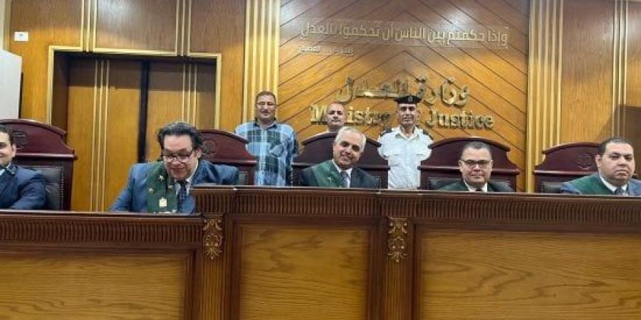 محكمة مستأنف الإرهاب بوادي النطرون تحكم بالمؤبد على المتهم بقتل طفل قويسنا :اليوم السابع