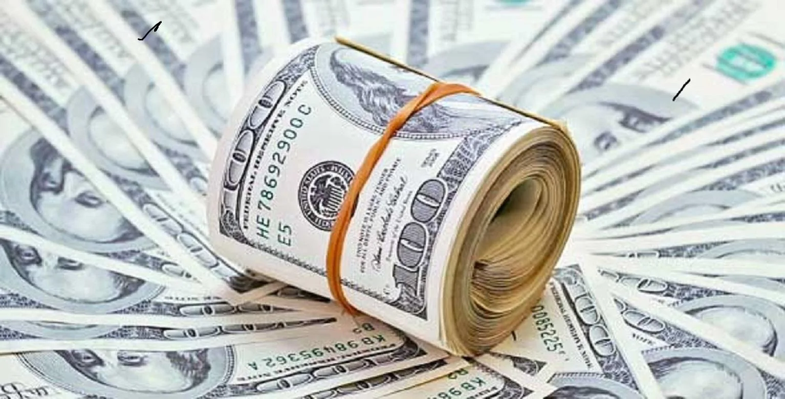 سعر الدولار اليوم الأربعاء 28 أكتوبر 2026 في مصر يستقر عند 56.19 جنيه للبيع