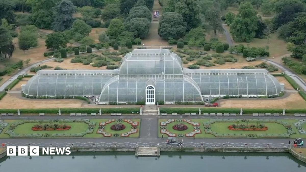 كيفية نقل 1300 نبات من أجل التجديد الضخم لـ Kew’s Palm House