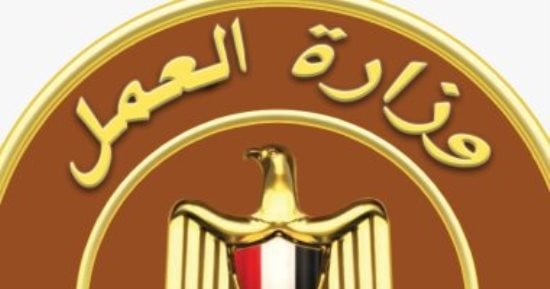 وزارة العمل تعلن فرص عمل جديدة لفنيين كهرباء برواتب تصل إلى 12.600 جنيه