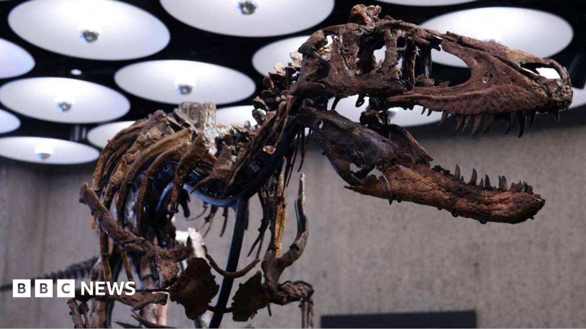 الهيكل العظمي Nanotyrannus يذهب إلى مزاد في نيويورك بسعر 4.5 مليون جنيه إسترليني
